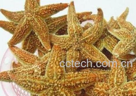 海星怎么吃 海星的吃法技巧-0