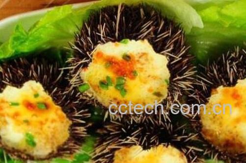 海胆怎么吃 海胆的吃法技巧-0