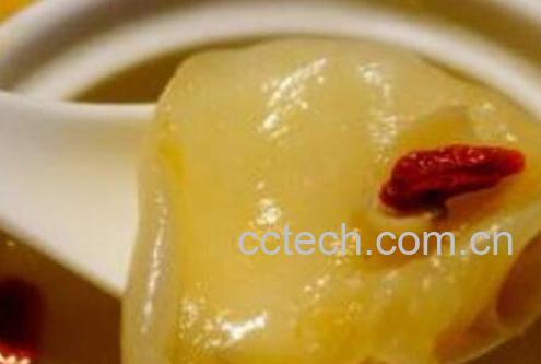 鱼胶是什么 鱼胶的吃法-1