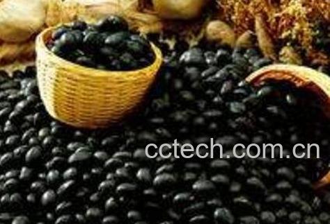 黑豆怎么吃对白发好-1