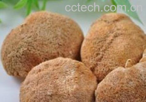 猴头菇怎么吃最养胃-0