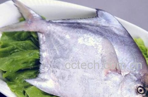 昌鱼的功效与作用-1