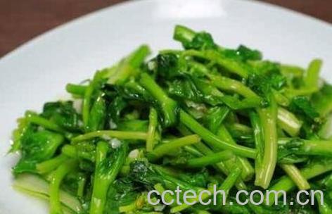 白菜苔的功效与作用-1