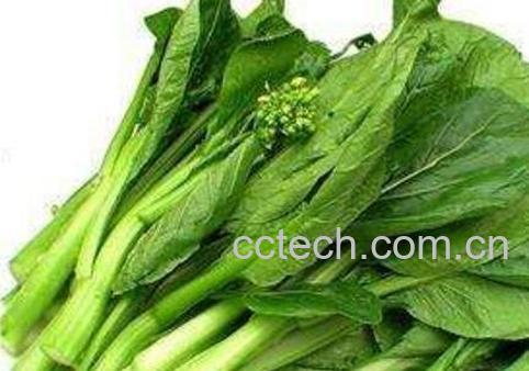 吃白菜苔有什么好处和坏处-1