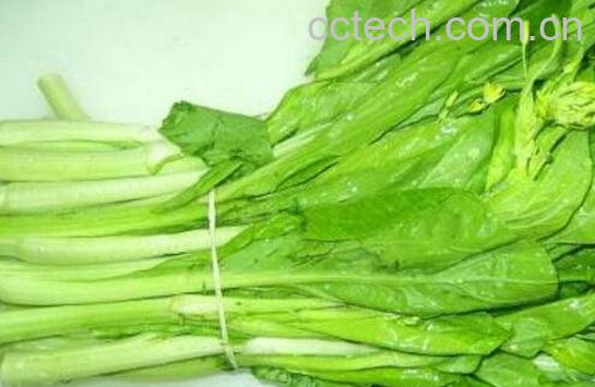 白菜苔和红菜苔的功效-0