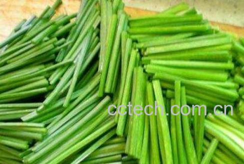 韭菜苔的功效与作用-0