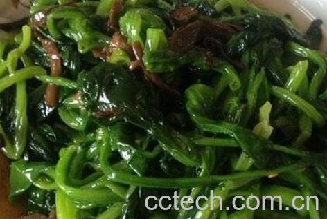 拌菠菜的功效与作用-1