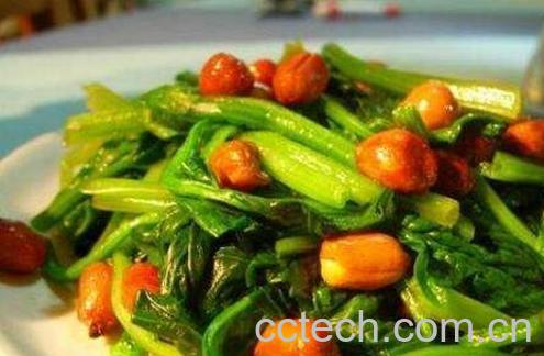拌菠菜的功效与作用-0