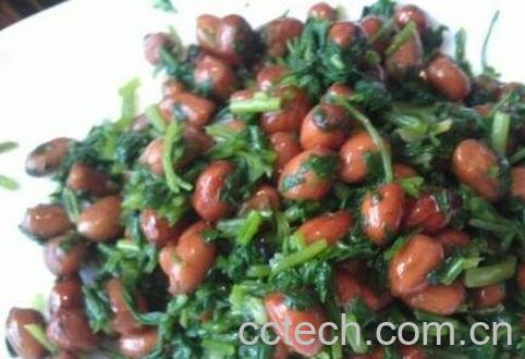  香菜怎么吃 香菜的吃法技巧-0