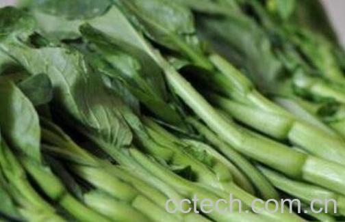 菜苔的功效与作用-0