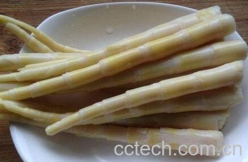 怎样能使春笋保鲜存放-1