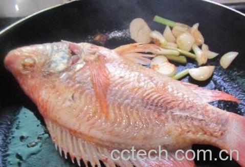 彩虹雕鱼的功效与作用-0