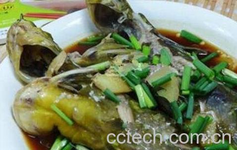 黄刺鱼的营养与功效-1