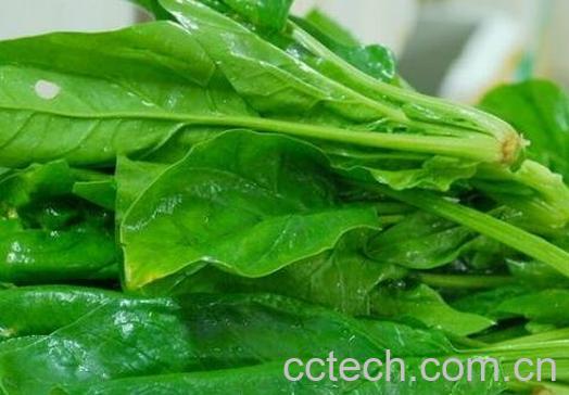  宝宝吃菠菜的功效与作用-0