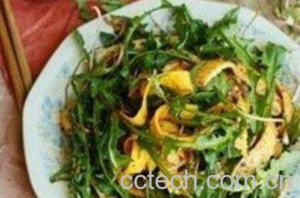 食用蒲公英的功效与作用-1