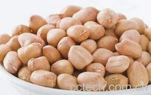 冰糖蒸花生的功效与作用-1