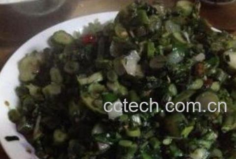 菜苔的腌制和储存方法-1
