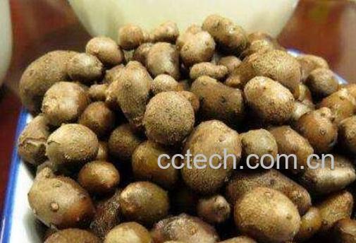 山药豆的功效作用与食用方法-0