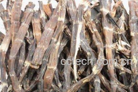 竹笋干食用的功效与作用-0