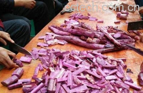 紫玉山药的功效与作用-1