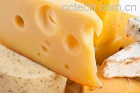 奶酪怎么吃 奶酪的吃法技-0