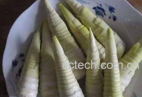 怎样去掉春笋苦味涩味-1