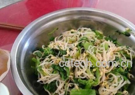 菠菜拌豆芽的功效-1