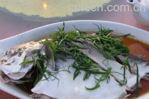 白仓鱼的营养与功效-0