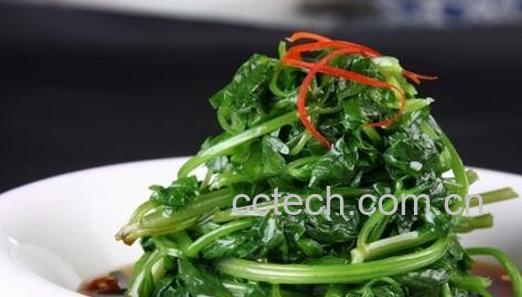 冬苋菜有几种吃法 冬苋菜一般怎么吃-0