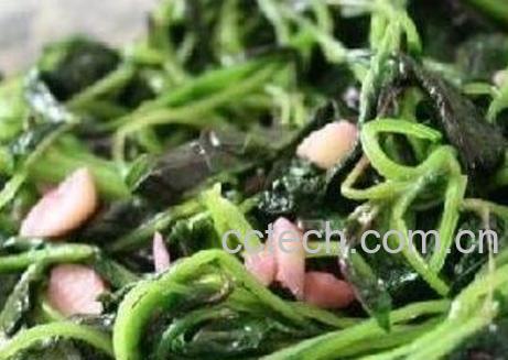 冬苋菜有几种吃法 冬苋菜一般怎么吃-1