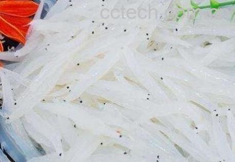 银鱼的营养价值及功效-1