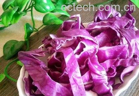  紫甘蓝与什么食物相克 紫甘蓝的功效-0