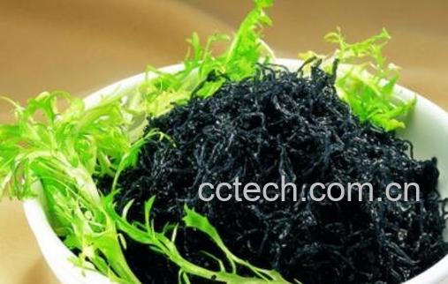 紫菜相克的食物是什么 紫菜和什么一起吃最好-0