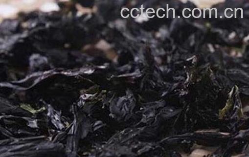 紫菜相克的食物是什么 紫菜和什么一起吃最好-1