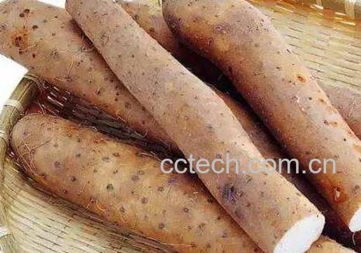 紫薯山药有什么好处和坏处-1