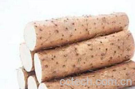 山药的药用价值与药用功效-0