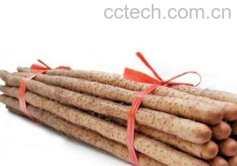 山药的药用价值与药用功效-1