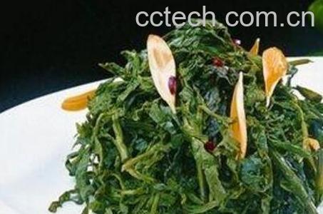 蒲公英的食用方法-0