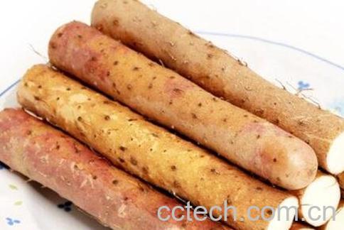 山药能壮阳吗 山药怎样吃补肾-1