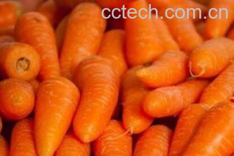 胡萝卜黑芝麻的功效与作用-0