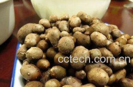 山药蛋怎么吃 山药蛋的吃法技巧-0