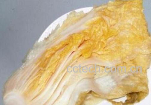 酸白菜的腌制方法 酸白菜怎么腌好吃-1