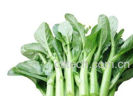 白菜苔如何保鲜 白菜苔如何冷冻保存-0