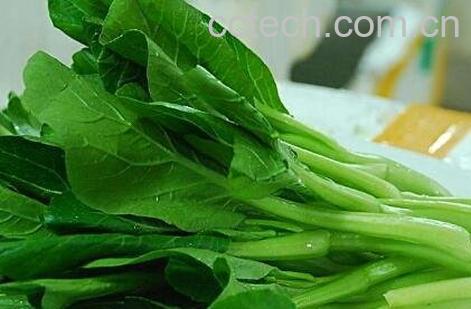 白菜苔如何保鲜 白菜苔如何冷冻保存-1