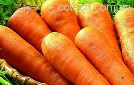 胡萝卜的营养价值有哪些-1