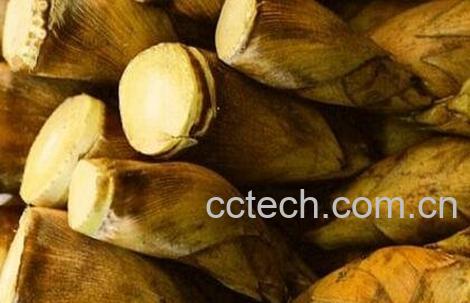 长期保存冬笋的方法-0