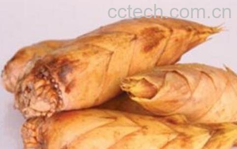 如何才能挖到冬笋 专业挖冬笋的方法-1