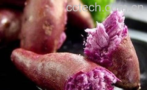 紫心番薯和哪些食物相克 紫心番薯和什么搭配好-0