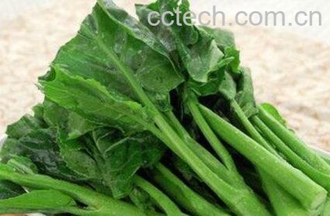 菜苔的营养价值及功效-1