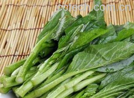 菜苔的营养价值及功效-0